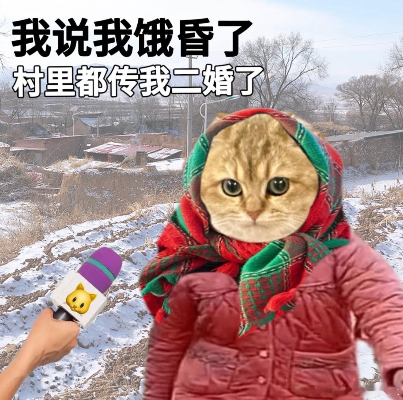 大熊 小米挺好，新年新气象～公关不就是要把朋友搞得多多的吗？ 