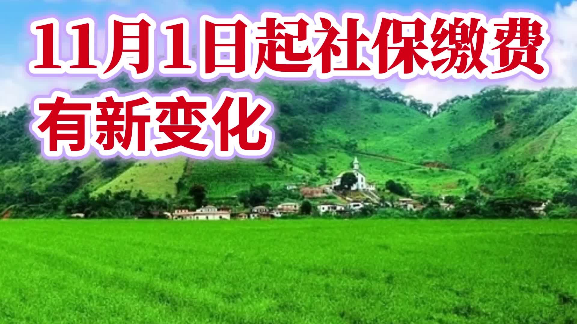 11月1日起社保缴费有新变化