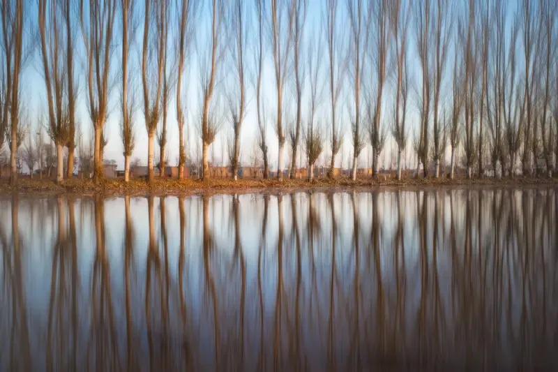 🍎🍎🍎🍎祝你平安:[赞][赞]//@老绍将:[玫瑰][拥抱]时光，让人懂