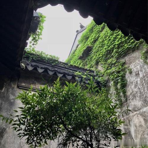 早安      湿热   33°     