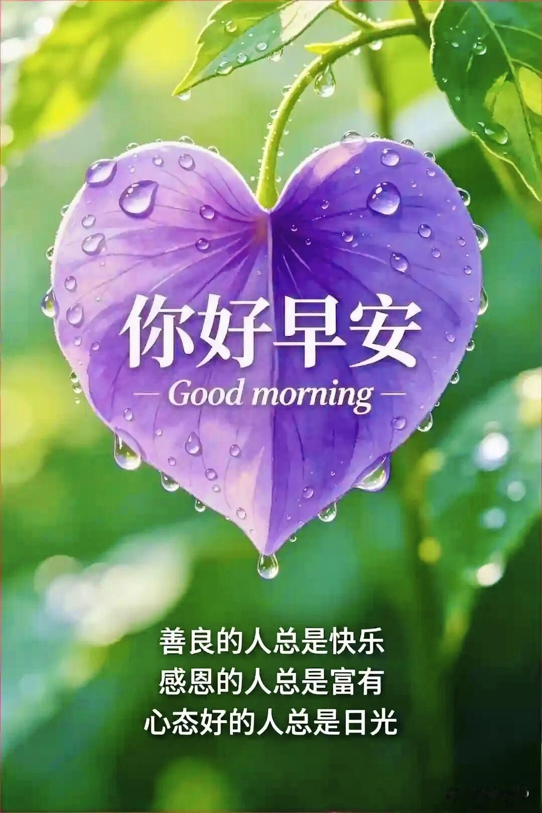 一日美好，始于暖心问候；
半生情谊，贵在真诚祝福。
有缘相遇，岁岁永不相离；
真