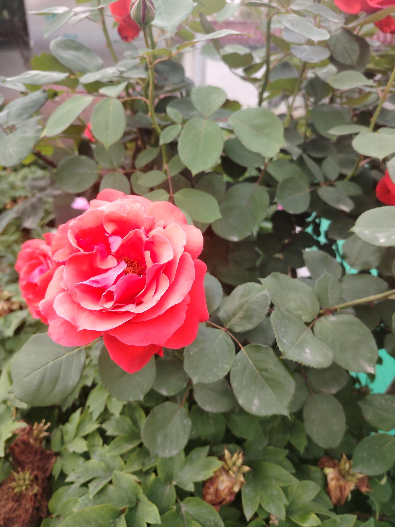 相遇靠缘分，相处靠真心。
人这一辈子，懂得感恩，日子才会过得温暖踏实。
 
亲情