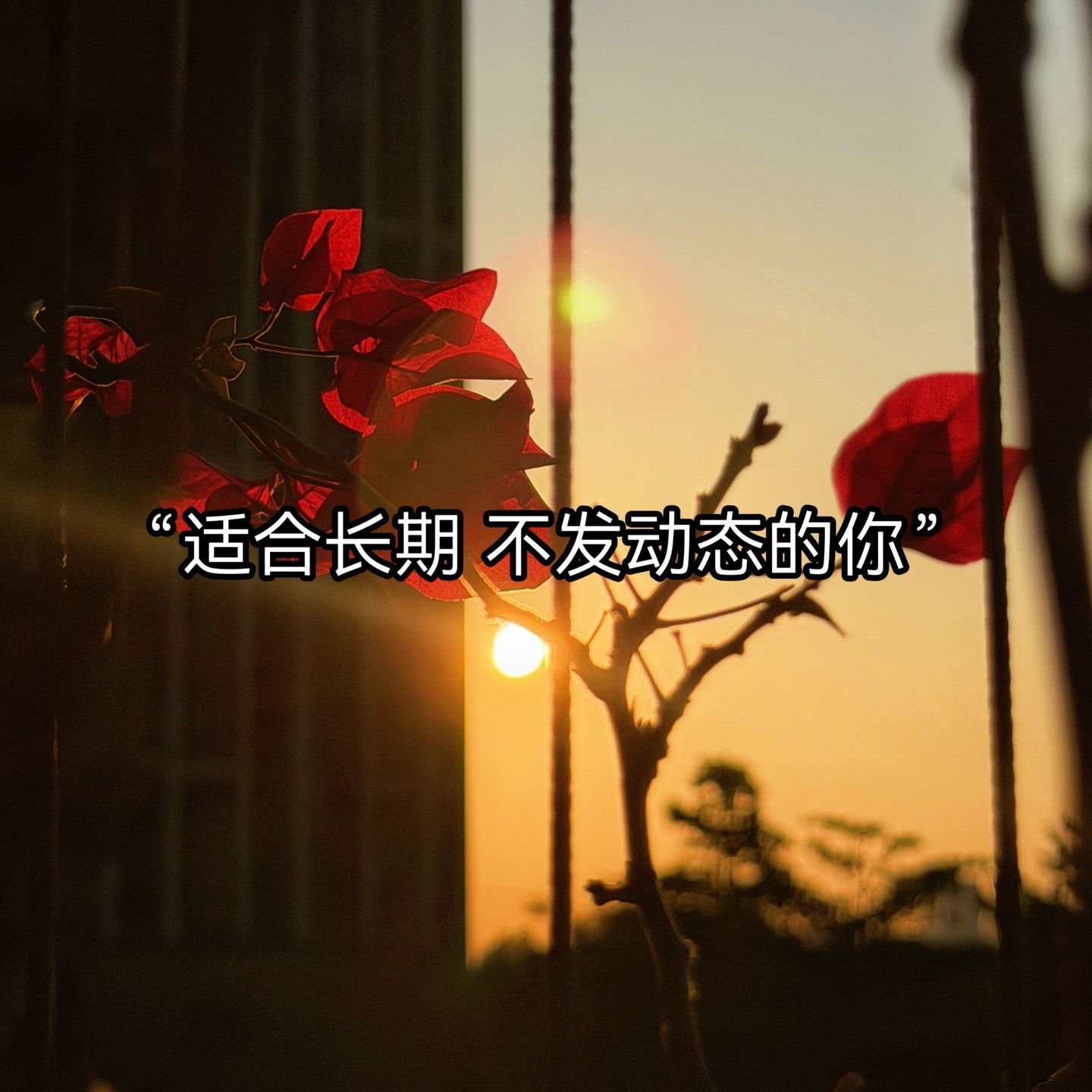 1、“时间在变，人也在变，                唯一不变的是，再也回不