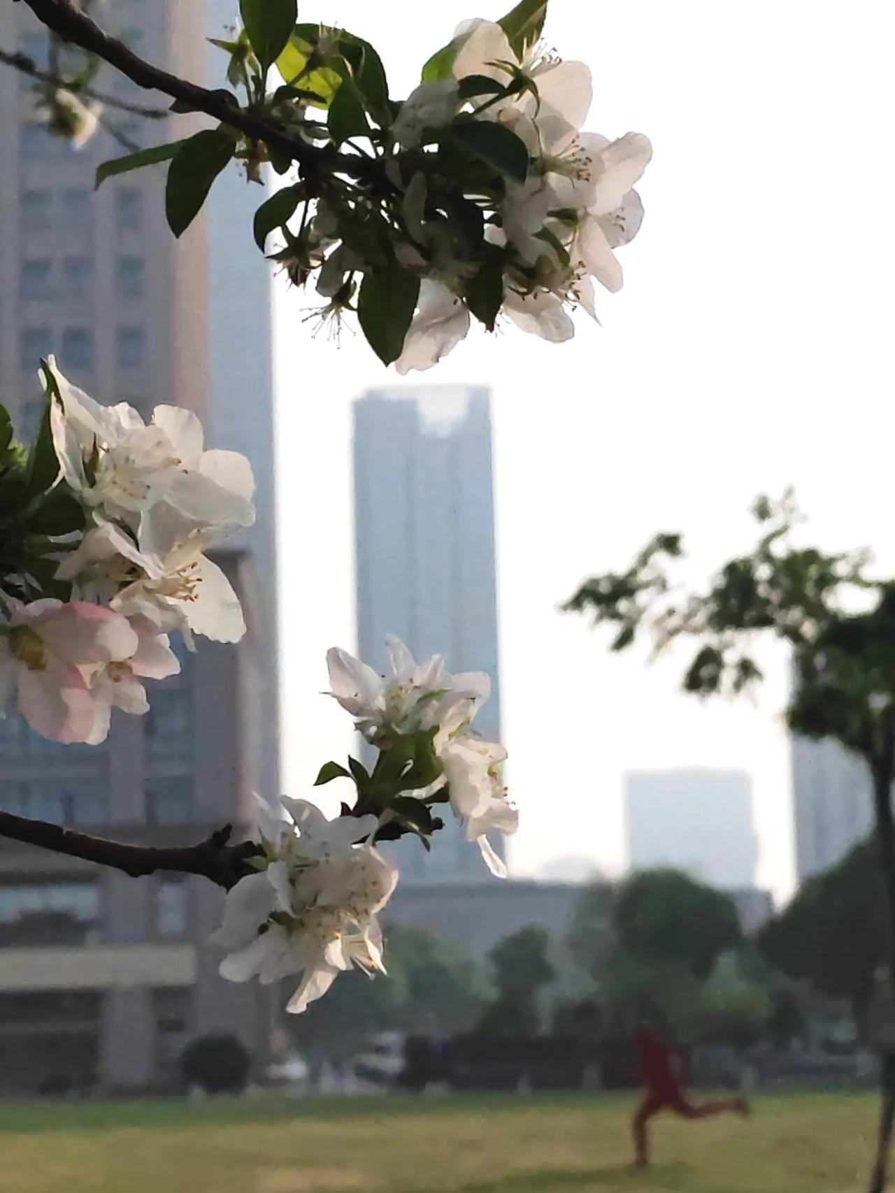 分享一张你拍的清晨阳光昨天住到了孩子提前给网上订好的酒店里，一切安顿好了。看着时