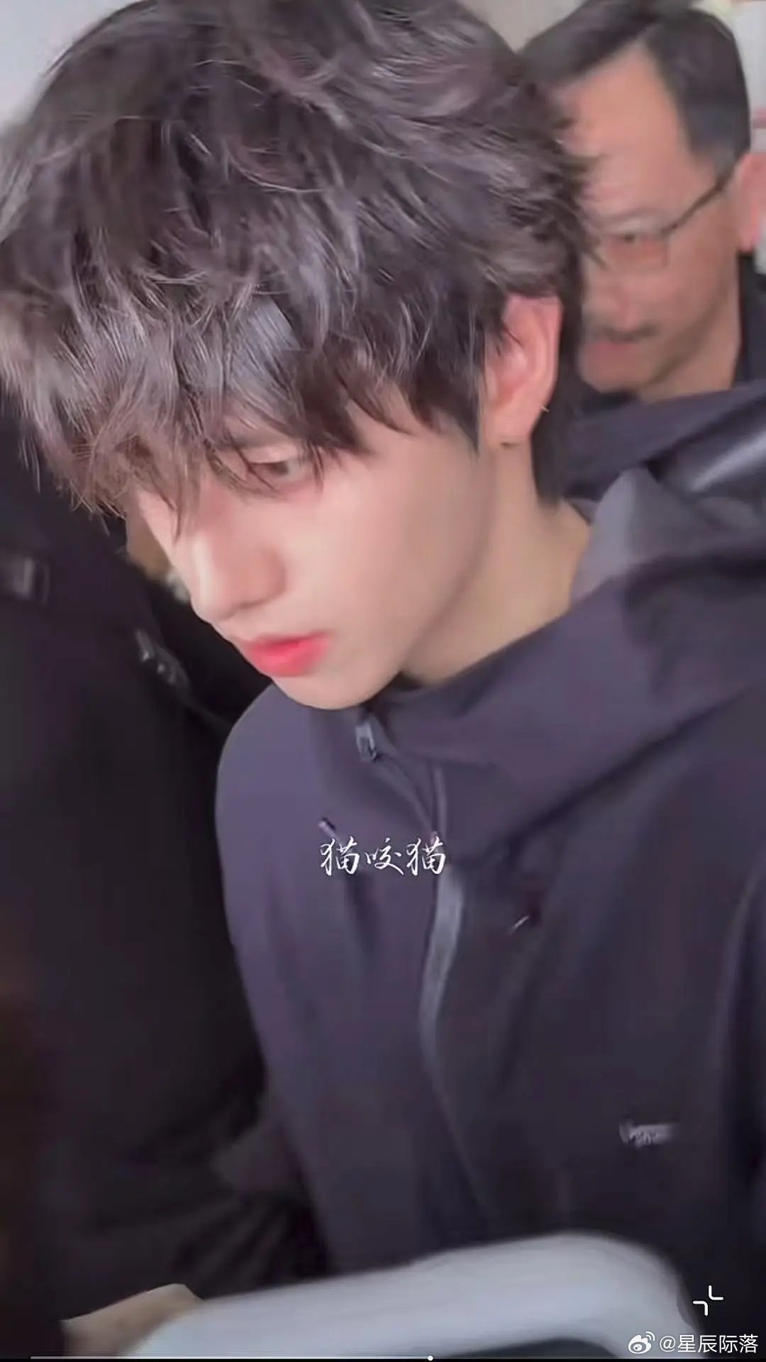 朱志鑫 | 伟大的卷毛造型 