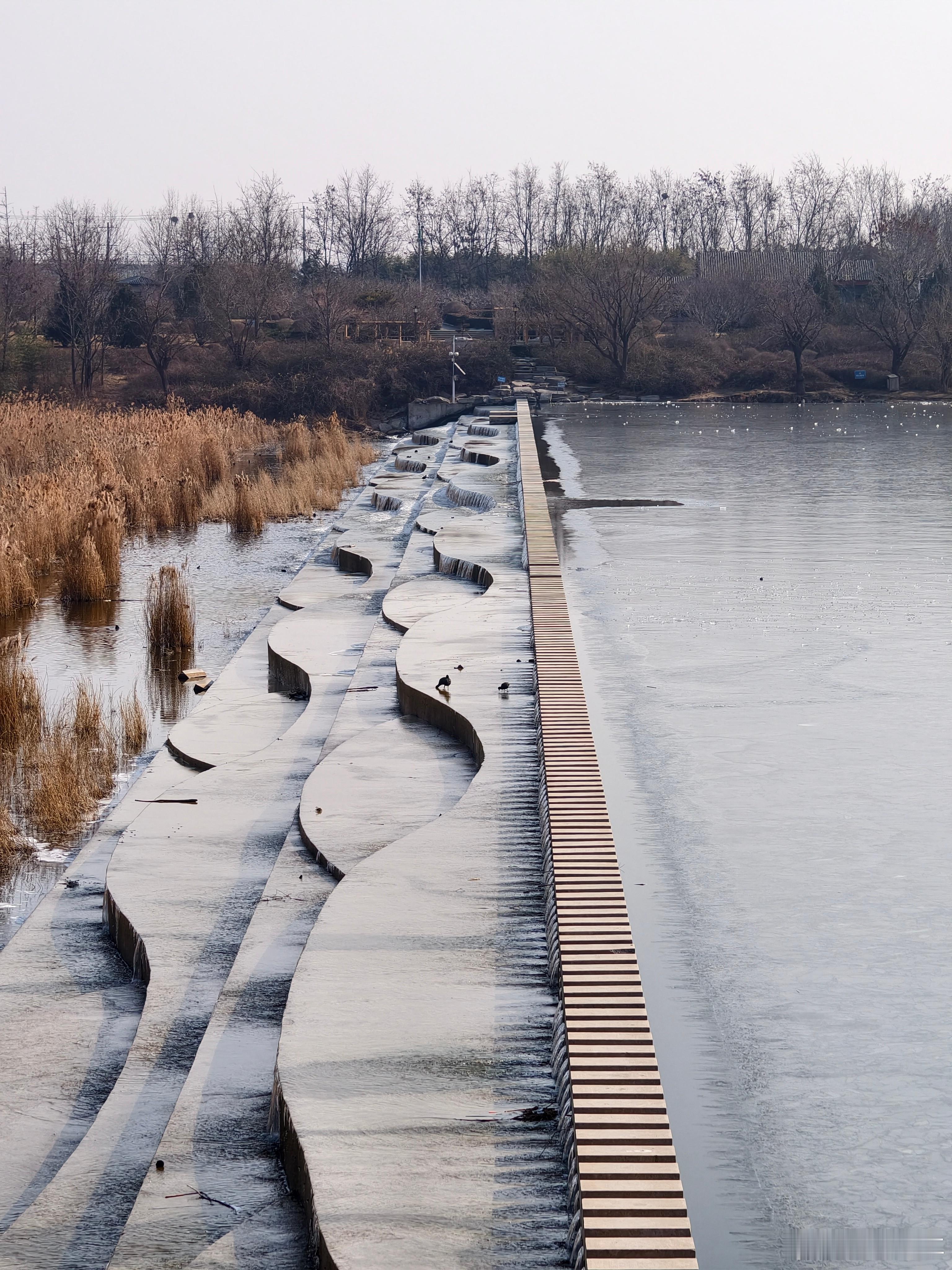 春节摄影大赛vivovivo不同焦段下的实拍表现，都美得很～ 