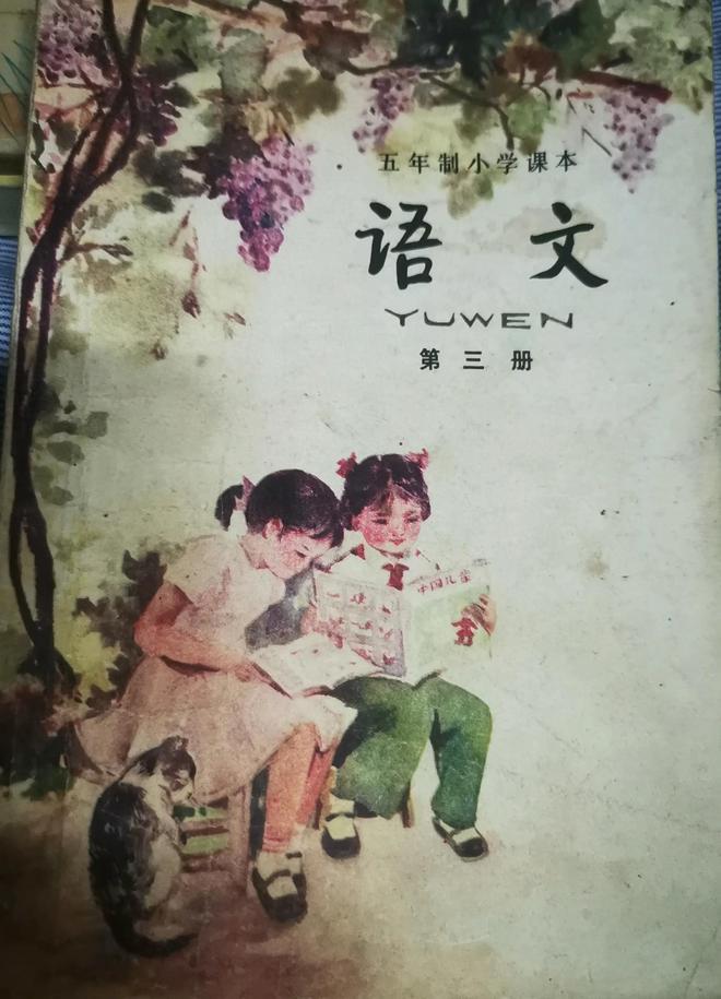 80年代小学课本插图
九十年代的语文课本上的插图颜色鲜艳靓丽 
颗粒归公 
这个