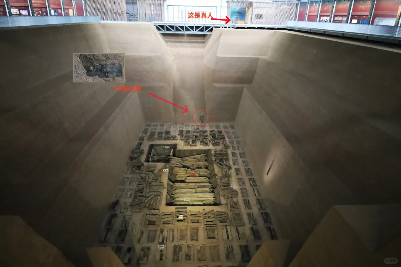 2500年来，TA就静静得躺在那个角落里