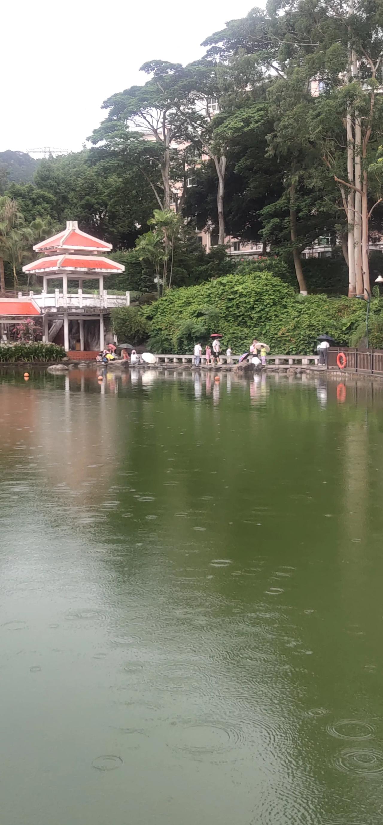 每天晚上在公园四处转转，就会发现只要是有空旷的地方，不是有老年人在跳广场舞，就是