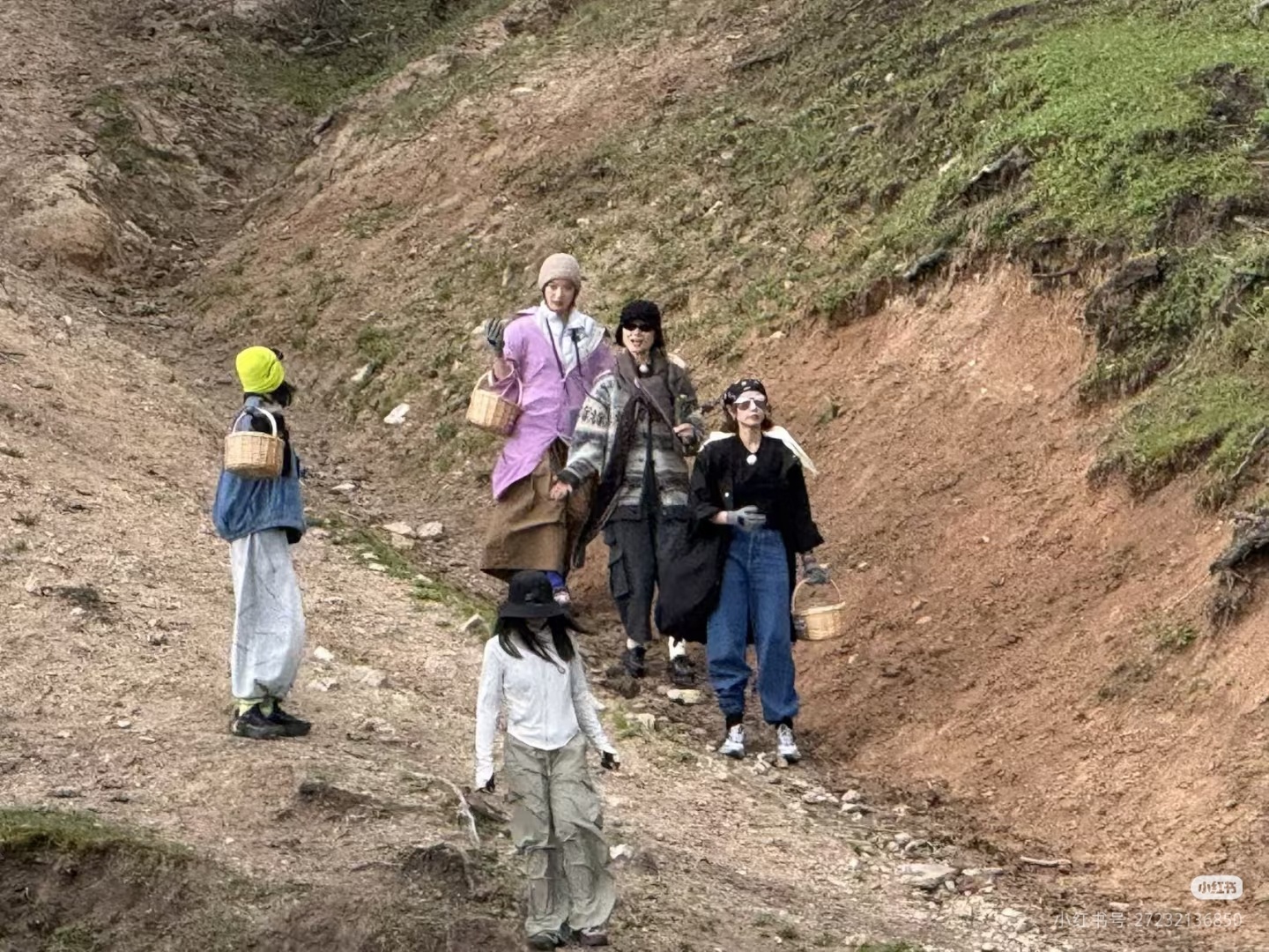 采蘑菇的小姑娘，干啥都是第一名李宇春向野的我们