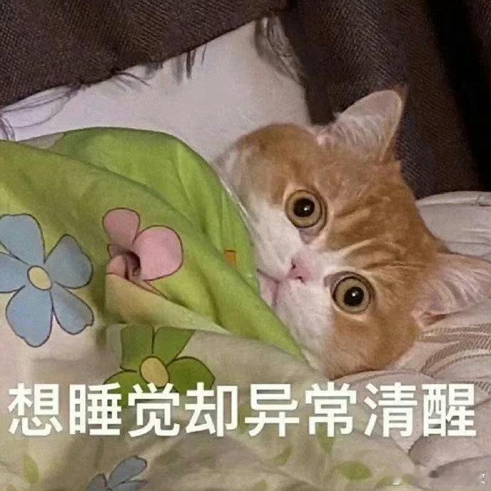 困了，但舍不得睡咪