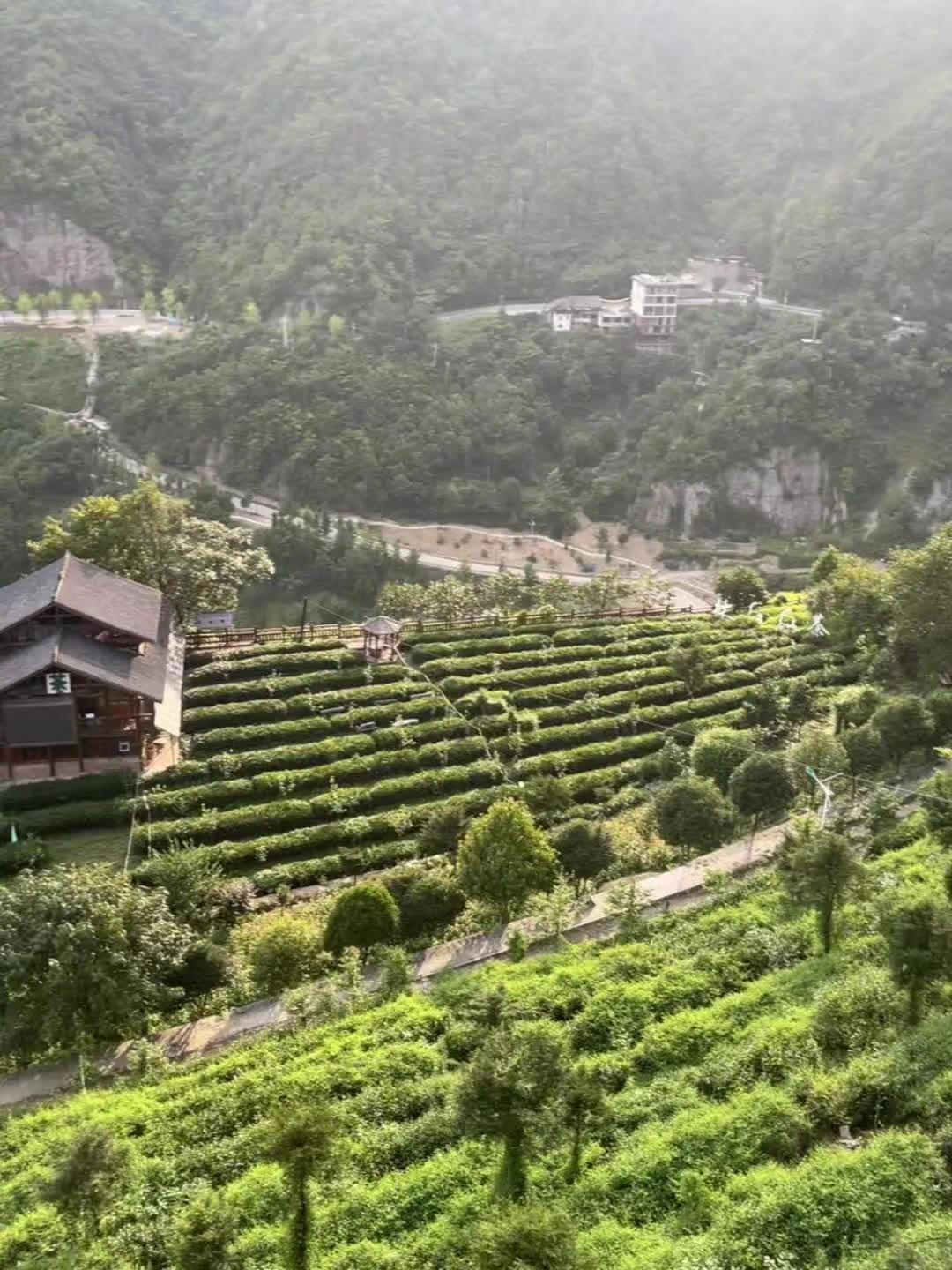 何必与人较劲 没人值得你掏空自己 这红尘万丈 最没意思的不过是人心