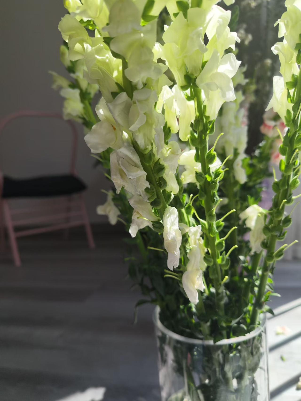 这是什么花，有知道的吗？