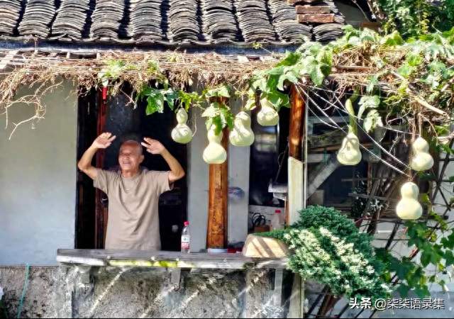 葫芦爷爷含泪剪掉8个葫芦：别把别人的晚年，当成全网的热闹
