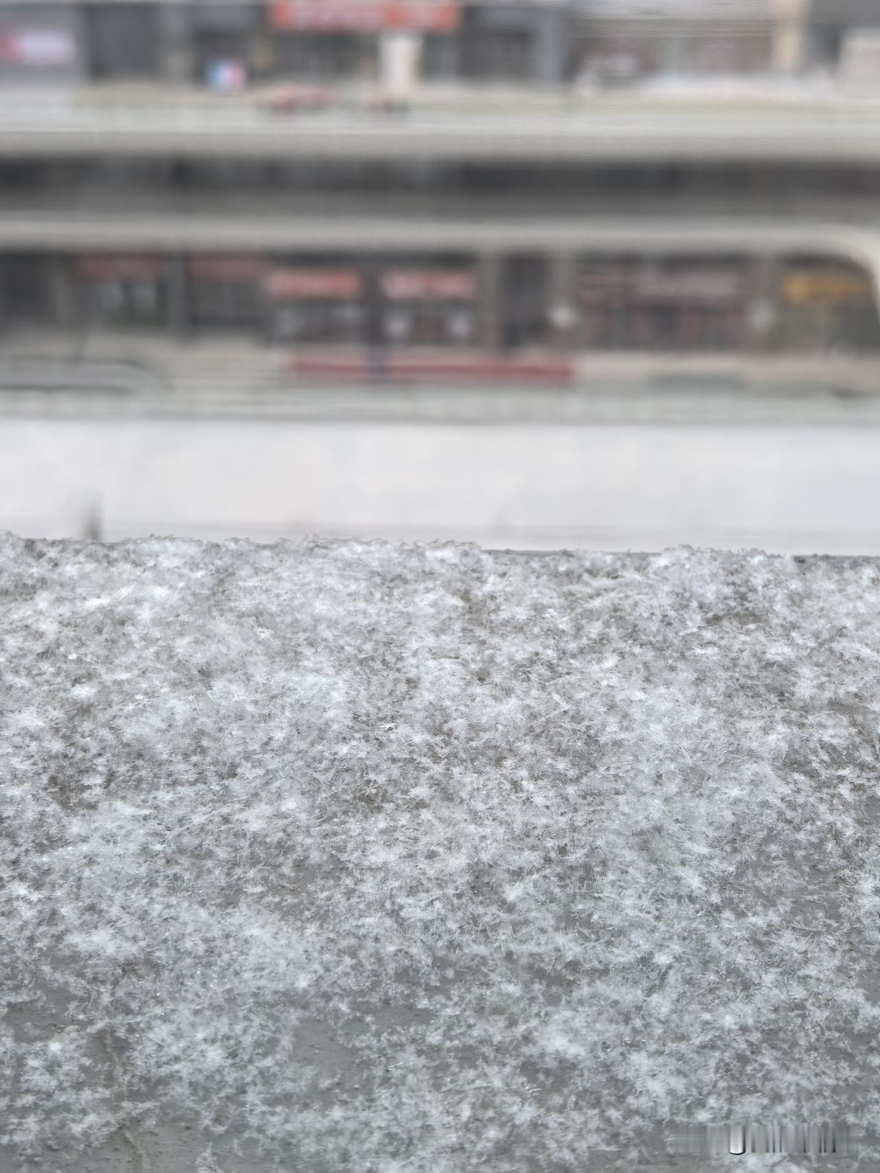 昨夜今晨，西宁的天空又飘起了细碎的雪花，这也算是2026年的第一场雪吧！

清晨