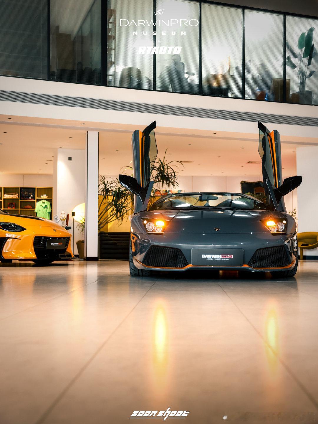 RTAUTO the DarwinMUSEUM馆藏艺术品 🇮🇹 LP650-