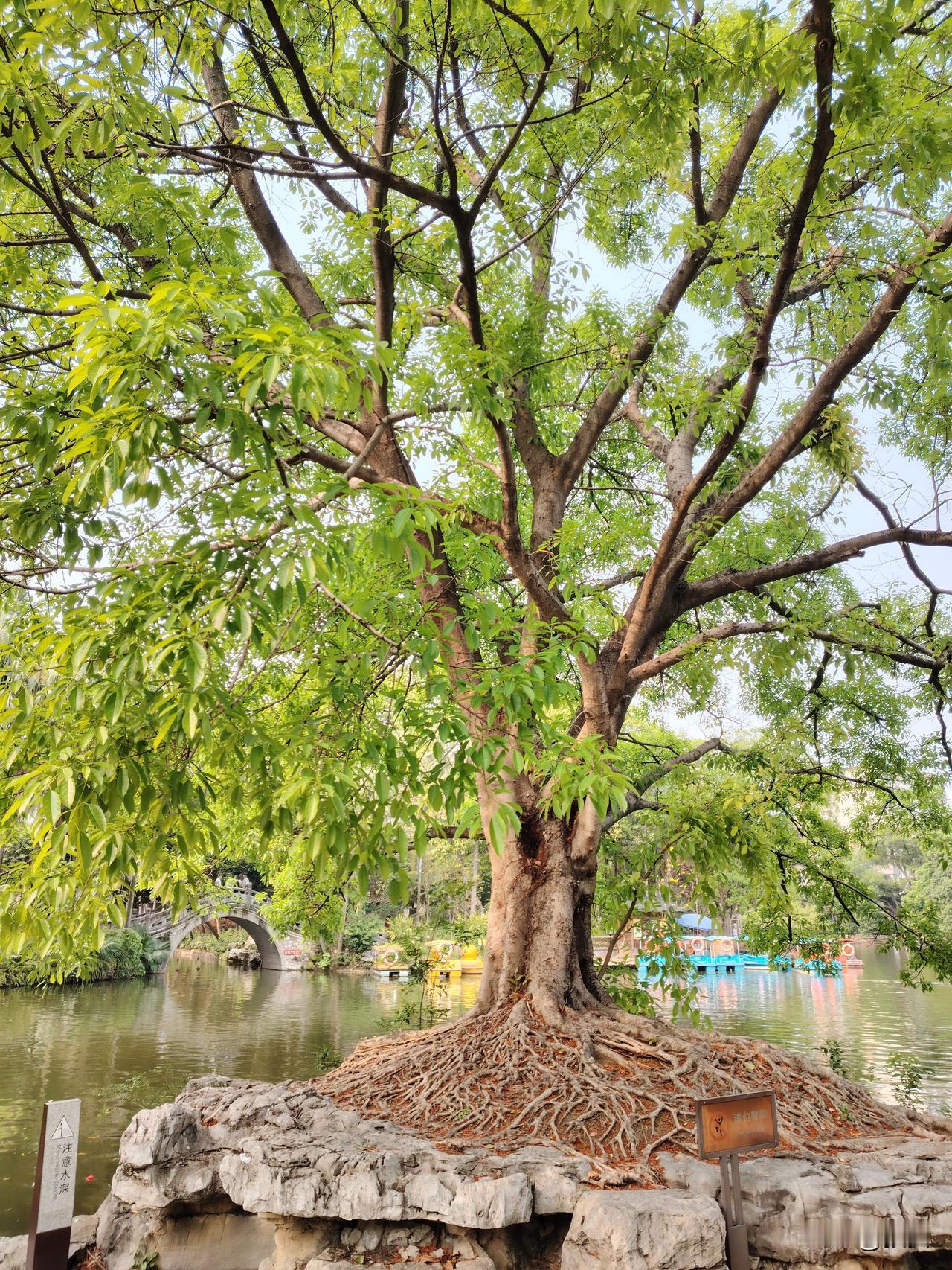 不出意外的话
再坚持个把月
今年就穷到头了
今年除了工作不稳定
收入不稳定
血压