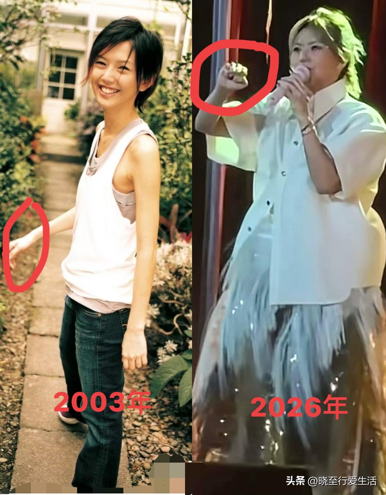 瞧，岁月不是杀猪刀，而是猪饲料！22年，孙燕姿把时光吃成了肉？

身材走样、颜值