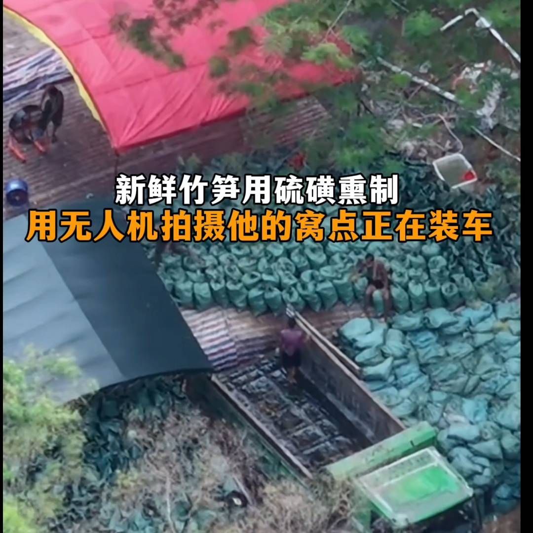 新鲜竹笋用硫磺熏制，博主用无人机拍摄他的窝点正在装车