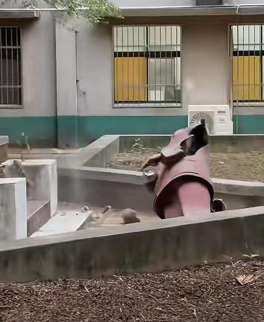 台湾蒋介石的铜像几乎都被拆除了，蒋介石的灵堂也年久失修漏雨了，但是安倍晋三的像却