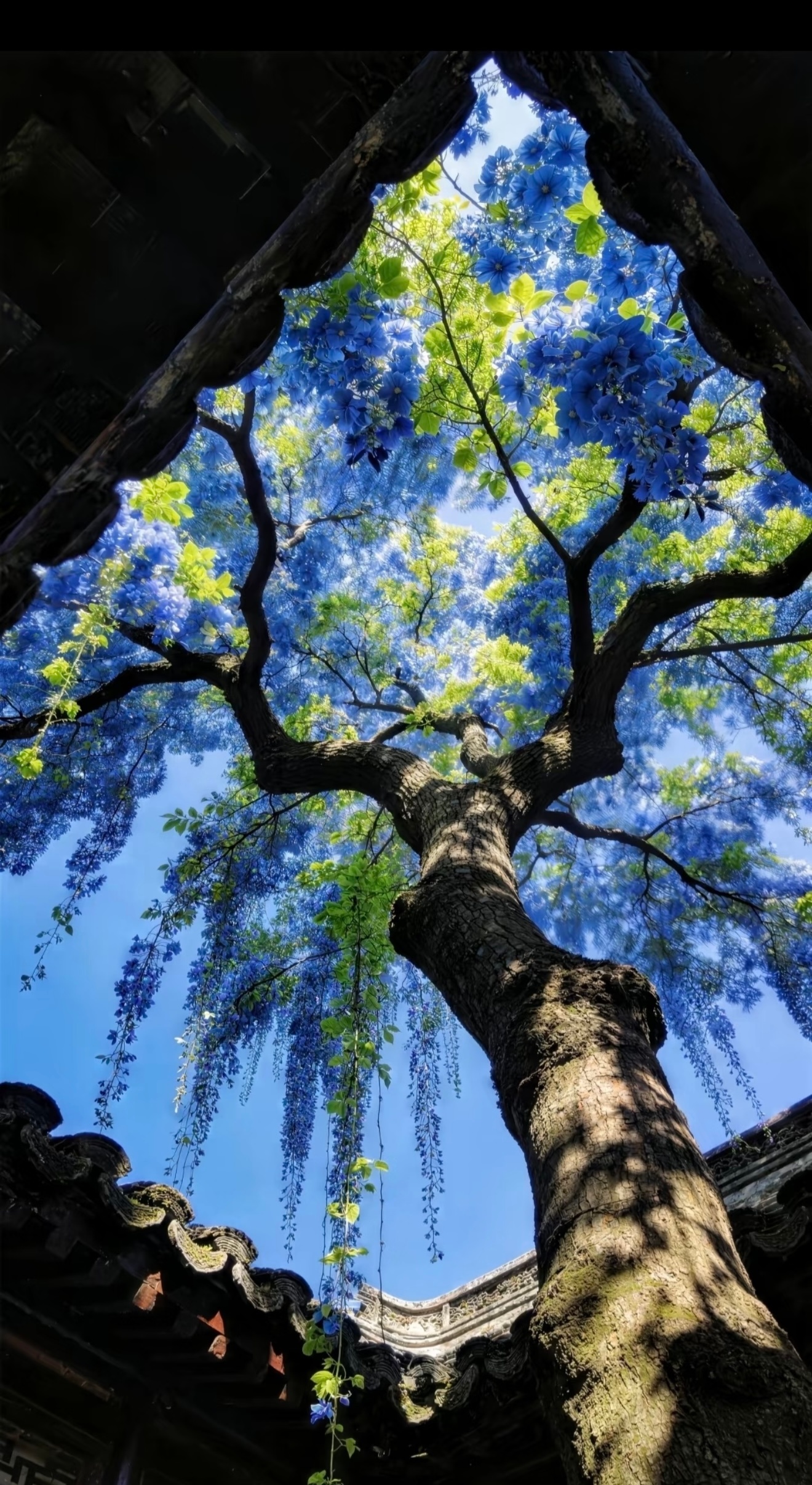 每日一善  💫阳光信用💫每日一善我们都有爱心爱护大自然人人有责爱护小动物从你