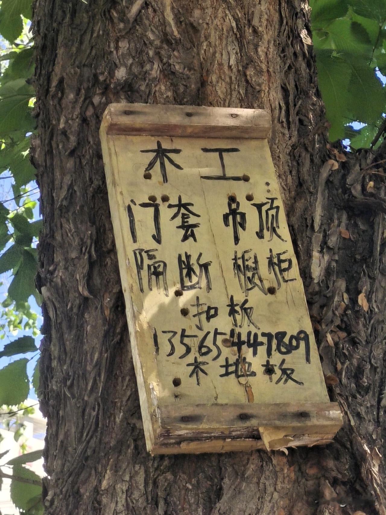 “钉在树上的广告牌”的出现，说明了室内水、电、暖改造及粉刷装修人员的良苦用心，不