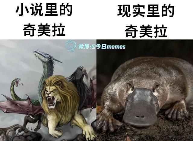 鸭的力量（9gag）今日meme[超话] 今日memes ​​​