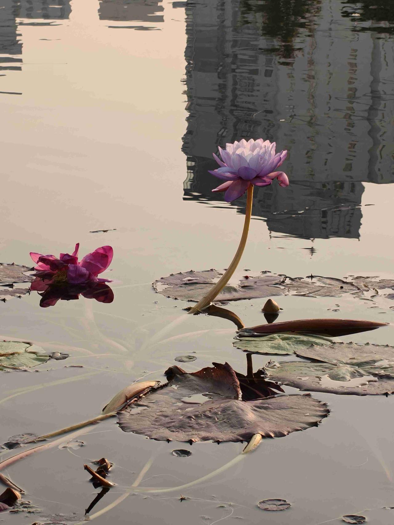 我的今日状态：🥲强颜欢笑
我这里的天气：☀️晴天