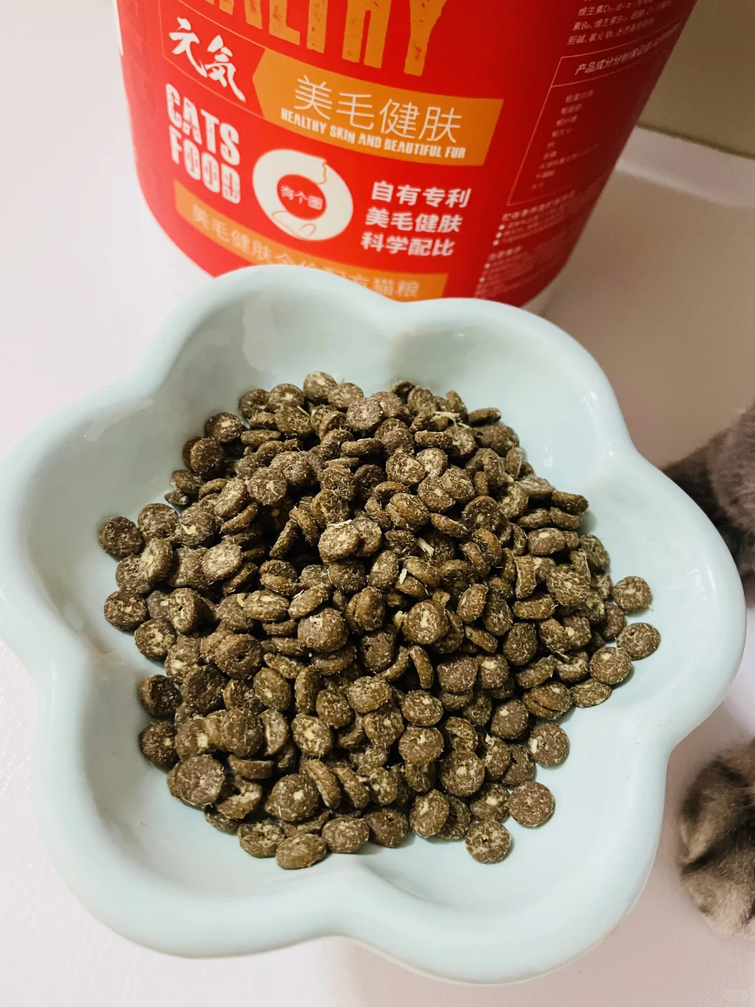 轻松养出爆毛小猫咪