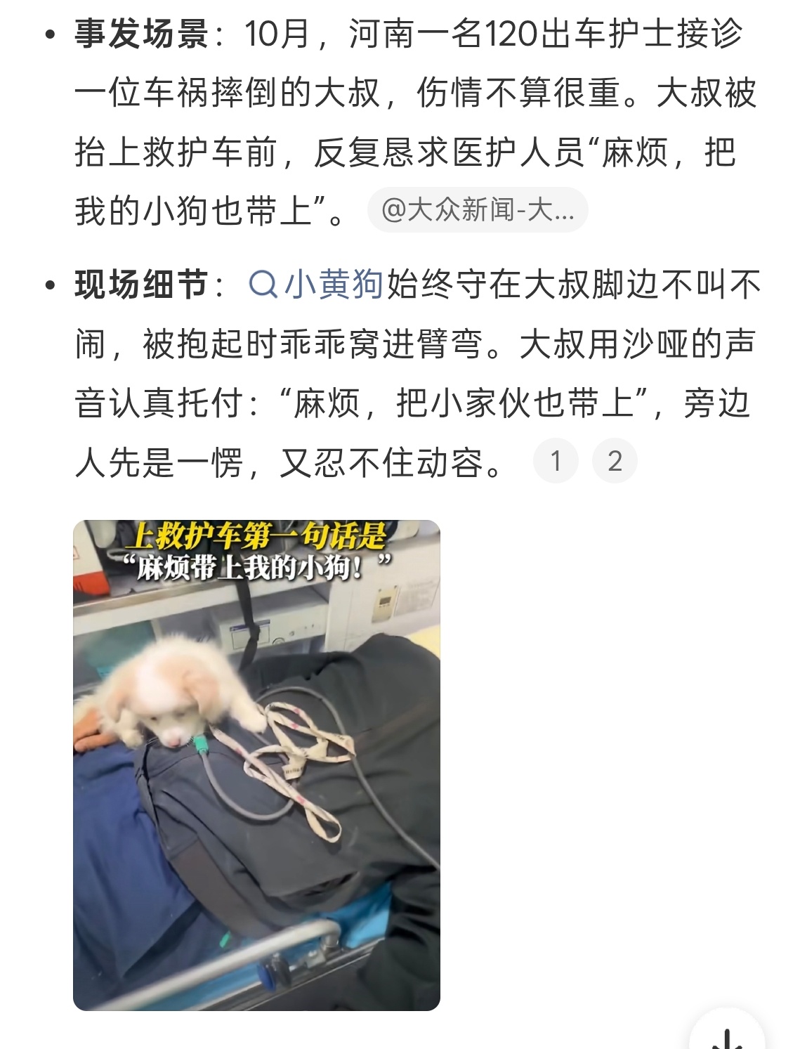 大叔遇车祸第一句话是求带上我的小狗幸好都没事，为毛孩子操碎了心，假期出游还是得多