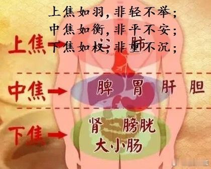 中焦如枢，非平不安，是什么意思？中焦如枢：说的是，位处中焦的脾胃就像个枢纽，心火