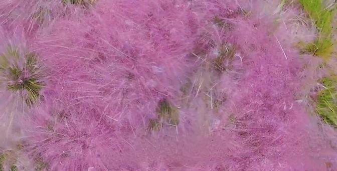 别人出轨了，粉丝和路人都是唾沫星子乱飞，可刘晓庆一出轨，怎么就变成了喜闻乐见的事