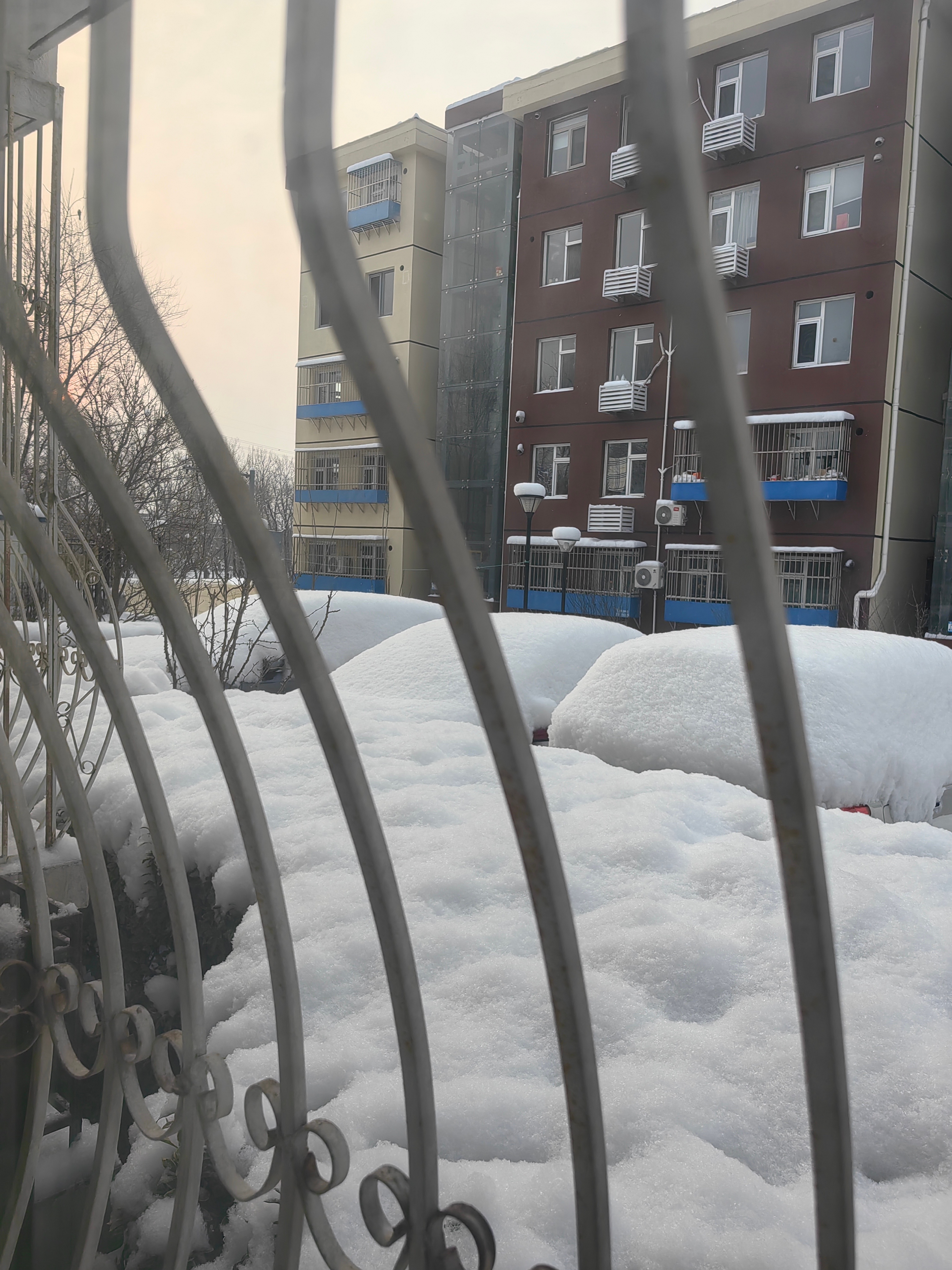 北京鹅毛大雪一大早就看到亲戚发的图，好像北京下雪比较少，这次下的是真大！估计下周