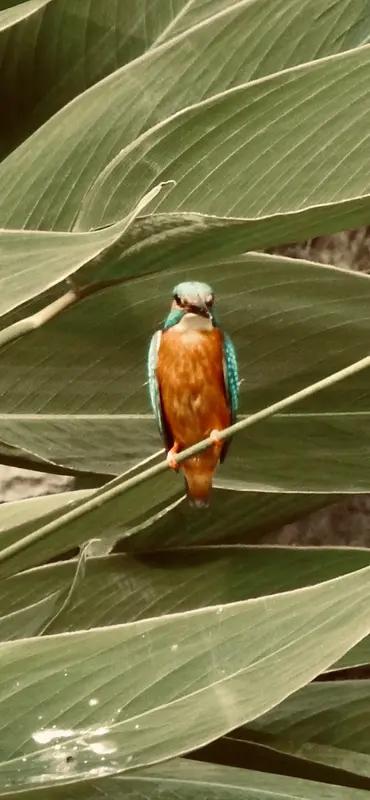 11月9日山东莱芜，服务区保安人员监守自盗，深夜偷拿货车生姜，高速服务区：将辞退