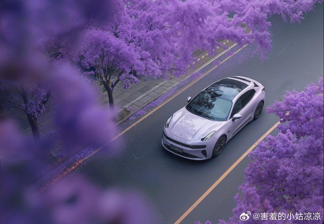 来上海解锁电车美学盛宴 一直觉得上海超懂美学，这场电车活动搭配魔都的格调，适配度