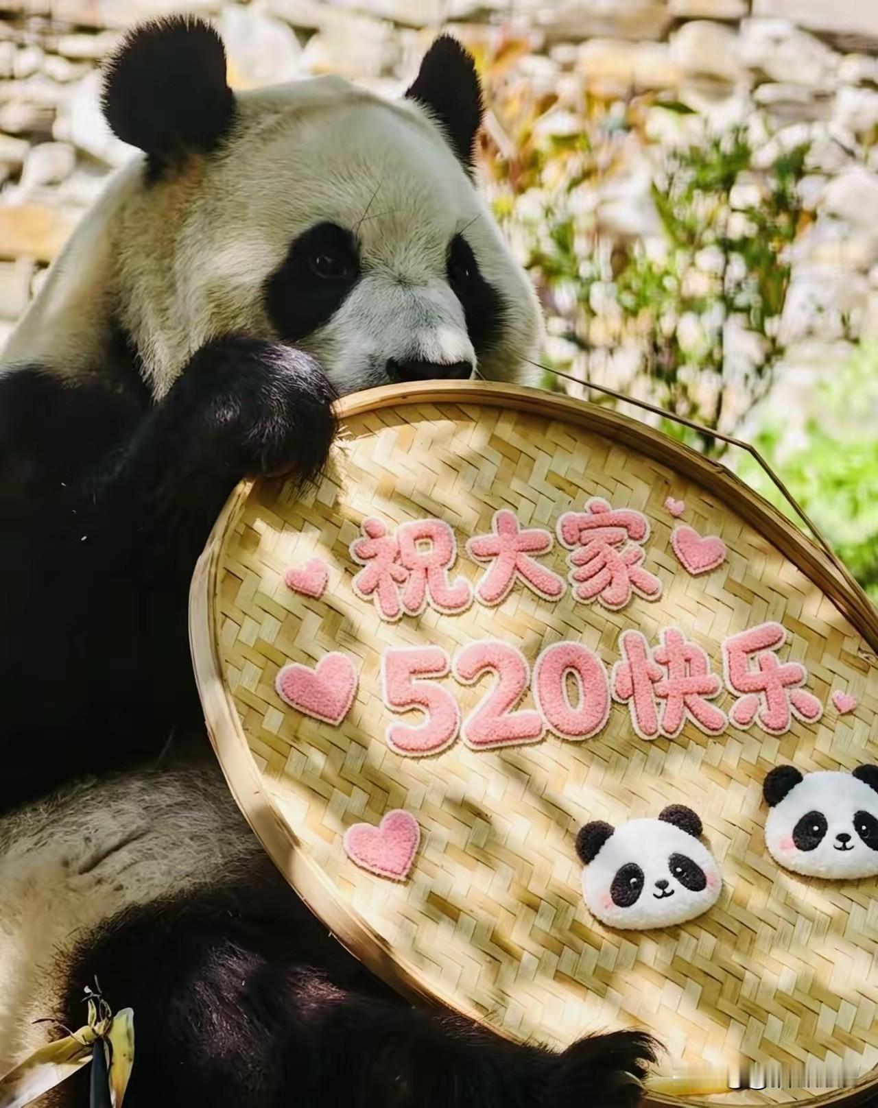 我们和福宝福公主的爱
是双向奔赴的
5月20号的时候
福宝福公主祝我们大家520
