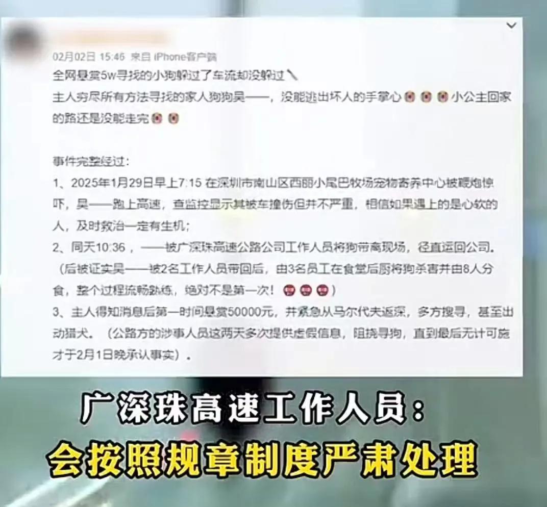 宠物狗走失，主人悬赏5万，但万万没想到，被 8 名高速工作人员烹饪分食！高速公司