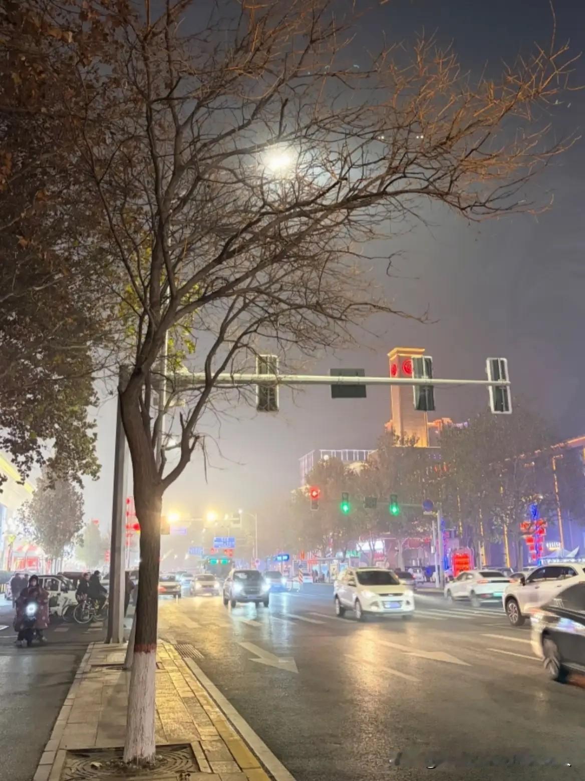 紧急通知！从今天开始，咱们正式进入“数九寒天”的最深处了。

这波大寒潮少说也得