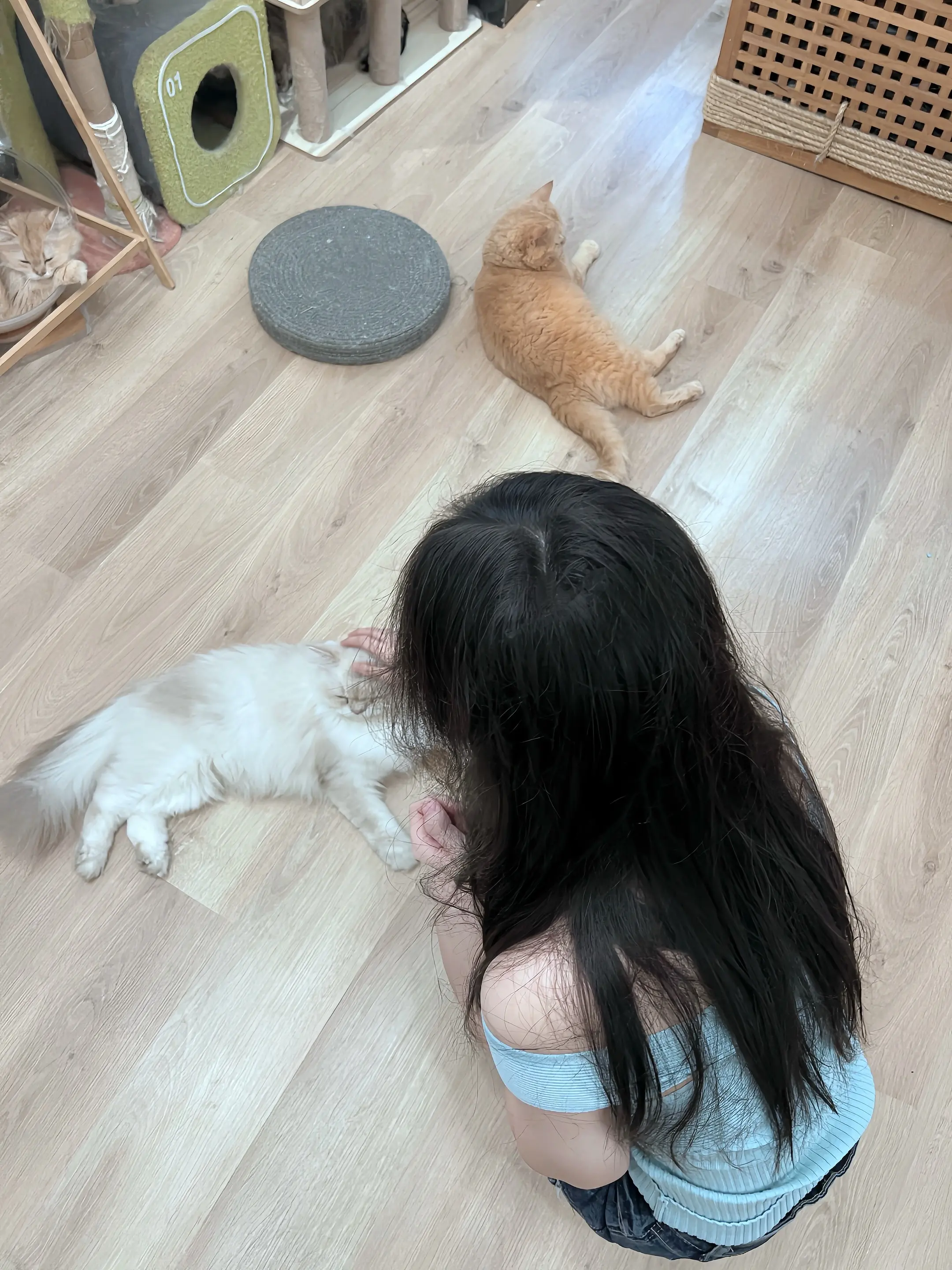 其实如果 你能记得她的生理期 并且能提醒她 不要吃涼的 她给你发了很多...