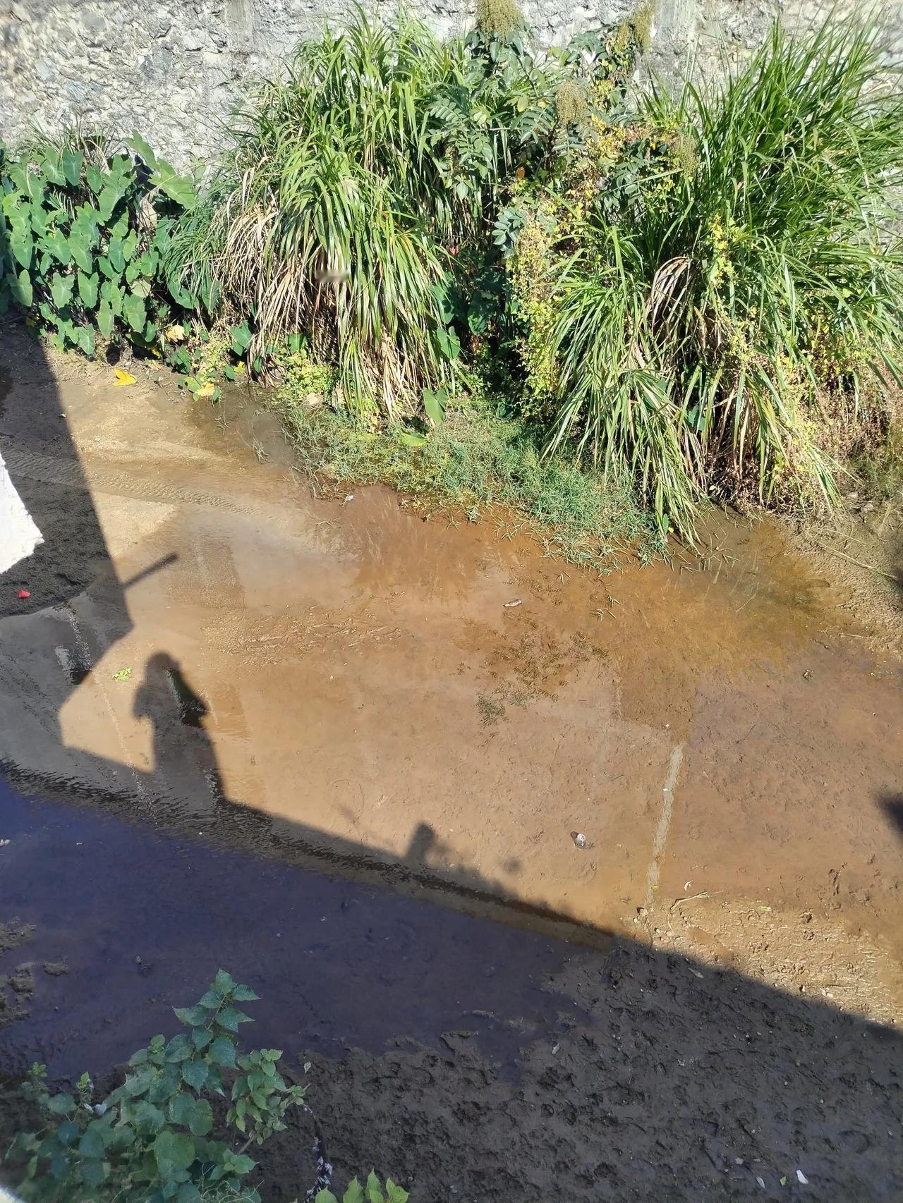 老家几个月没下雨了，河里也没什么水了，小时候我们经常在河里抓鱼，现在只剩下河沙，