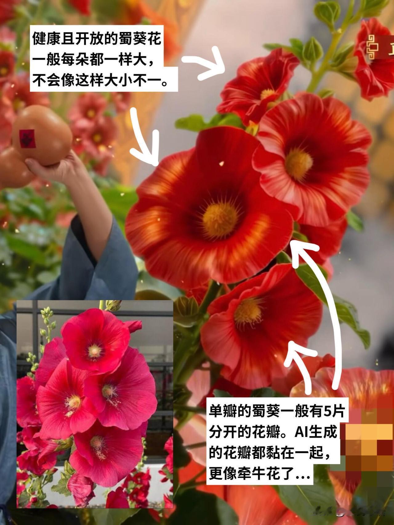 为什么我觉得《贺花神》是个失败的节目，真的让人又爱又气。

舞美和选角是真的绝，