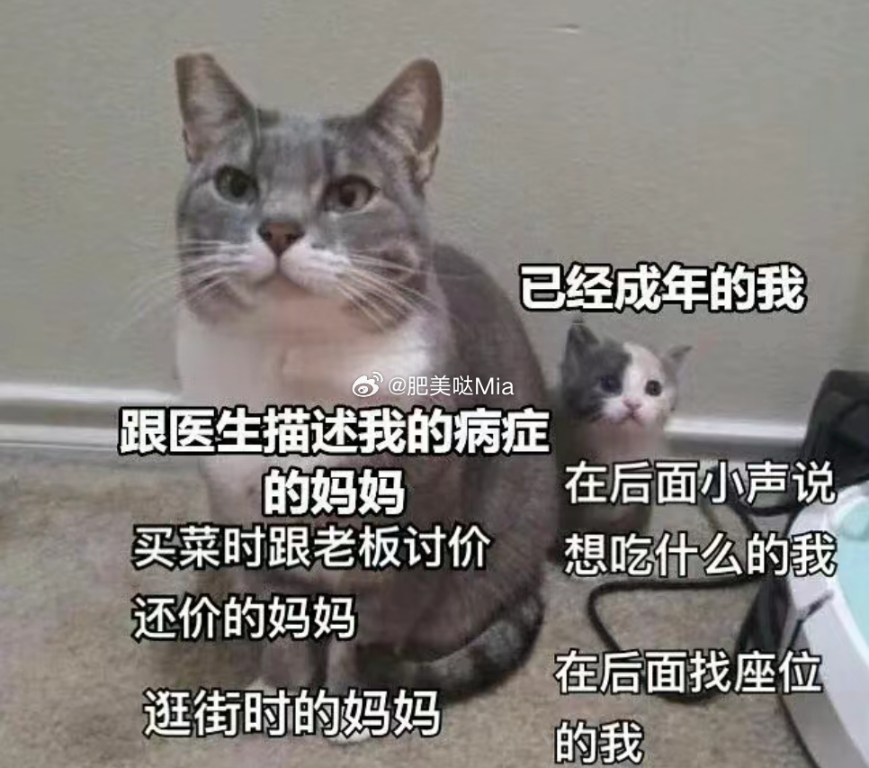 看了评论区有好多人死前会有去世的亲人来接的灵异故事，我真的觉得好暖啊，死亡只是重