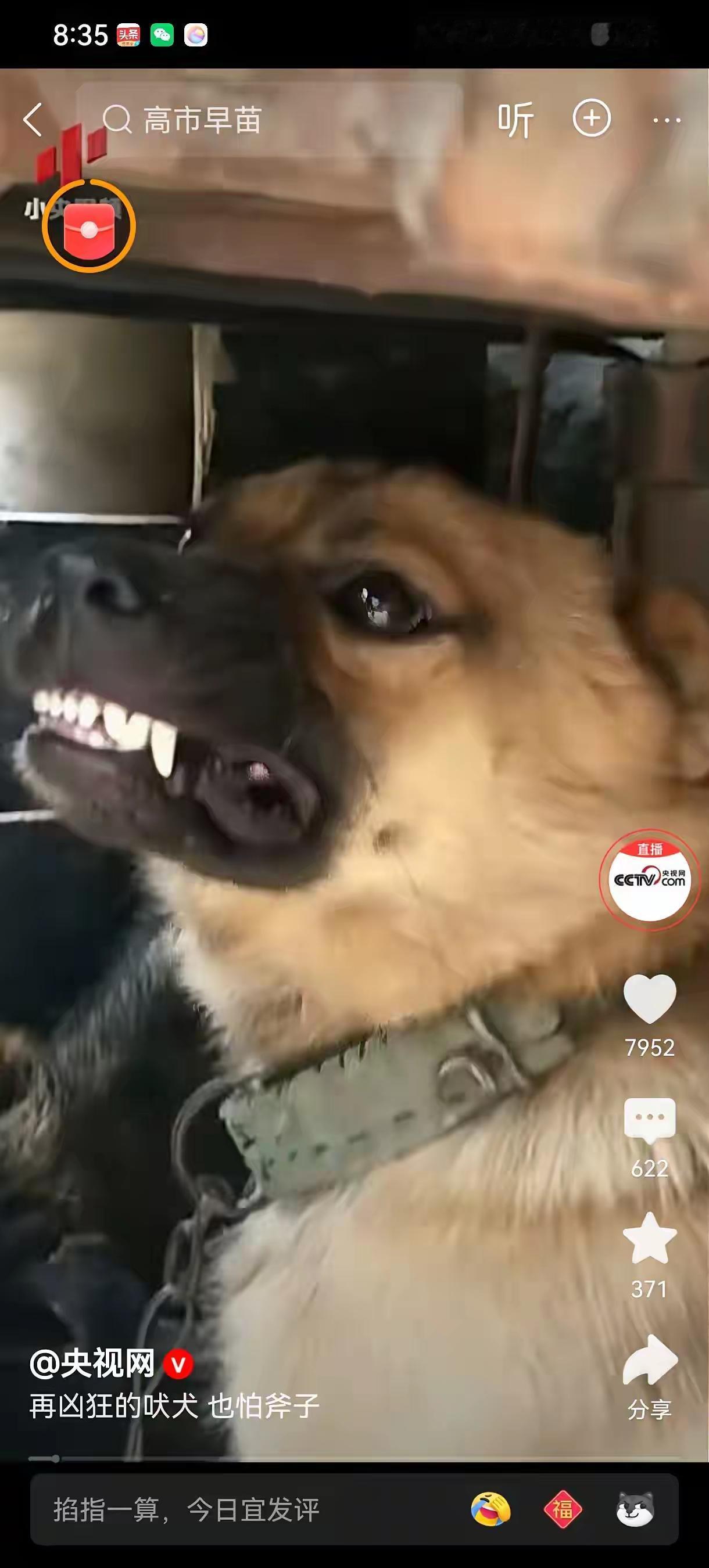 你敢信，这是央视发的！
央视玩起梗来各位网友都望尘莫及啊。
小日子们都看看，这寓