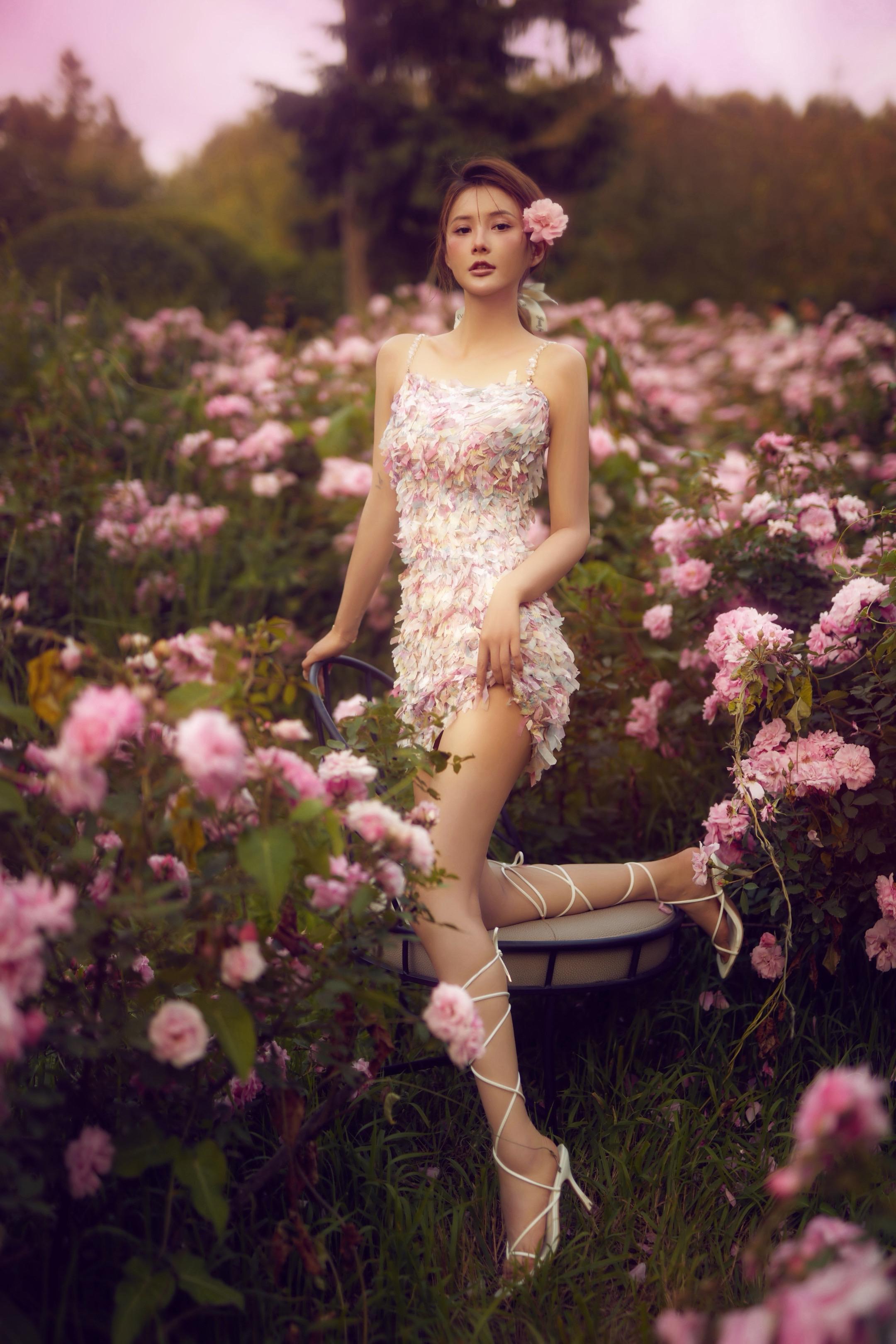 执着于苹果时 苹果却看到整片星空。