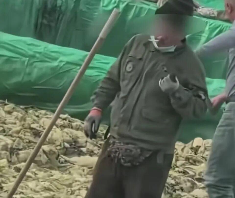 从“老痰酸菜”事件看食品安全的底线失守与责任倒逼
辽宁润泽农业有限公司旗下酸菜厂