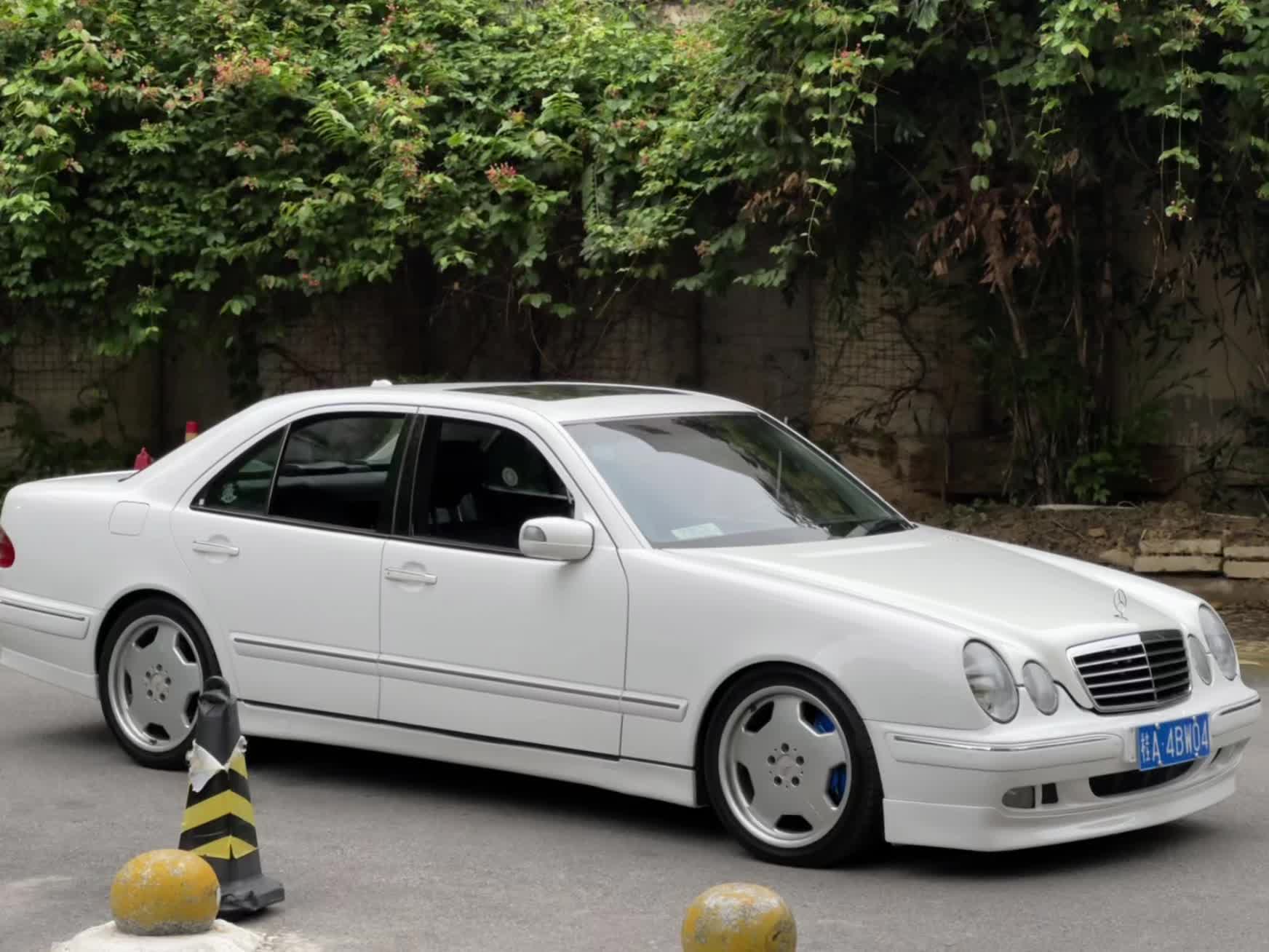 夏树，今天好冷啊