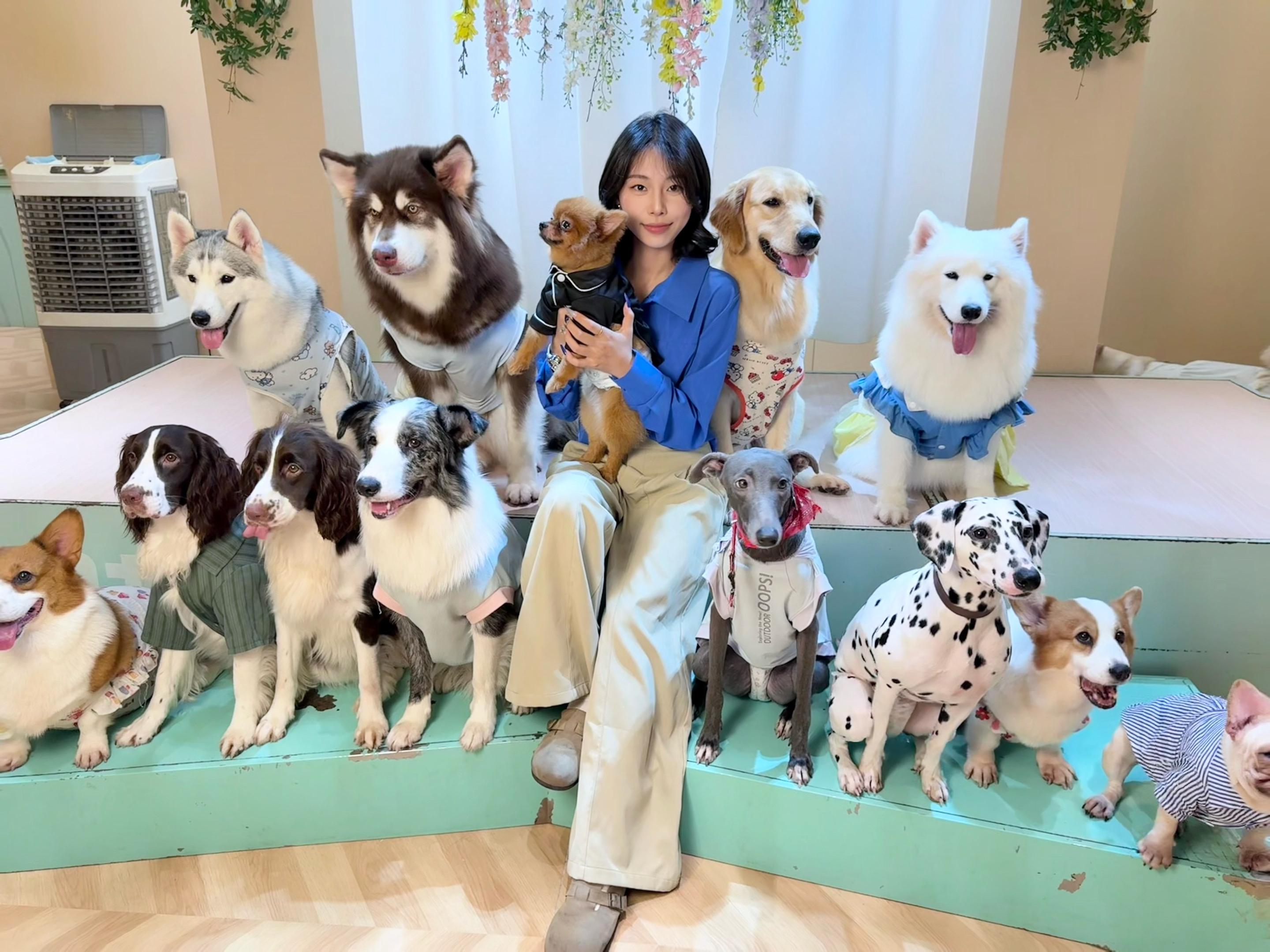 小狗还有猫咪，长辈还有老师，都看不出我的心事💬