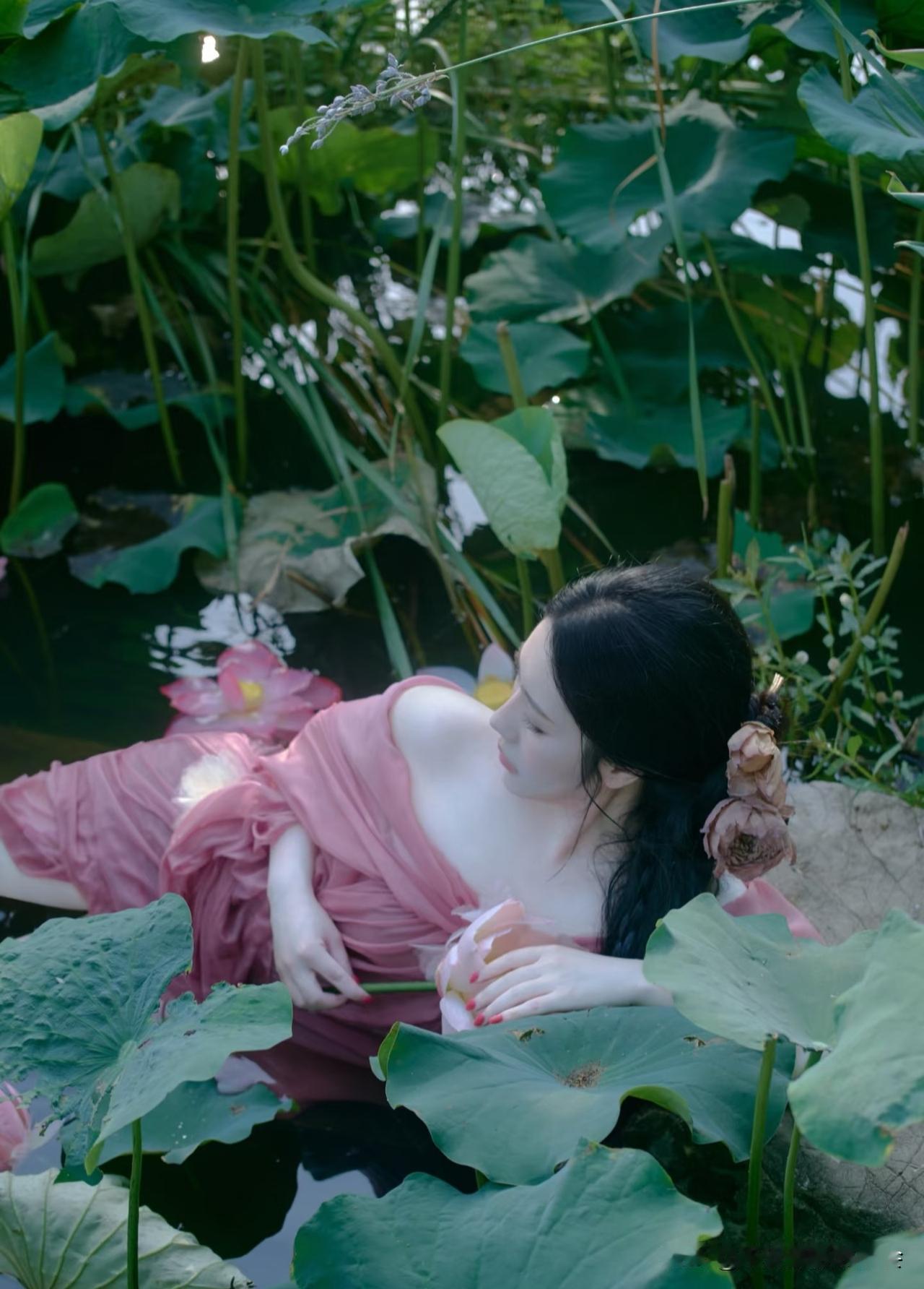 映日荷花  她似莲藕上联：伞遮春夏秋冬雨，请对下联 五十女人穿什么裤好看 你认为