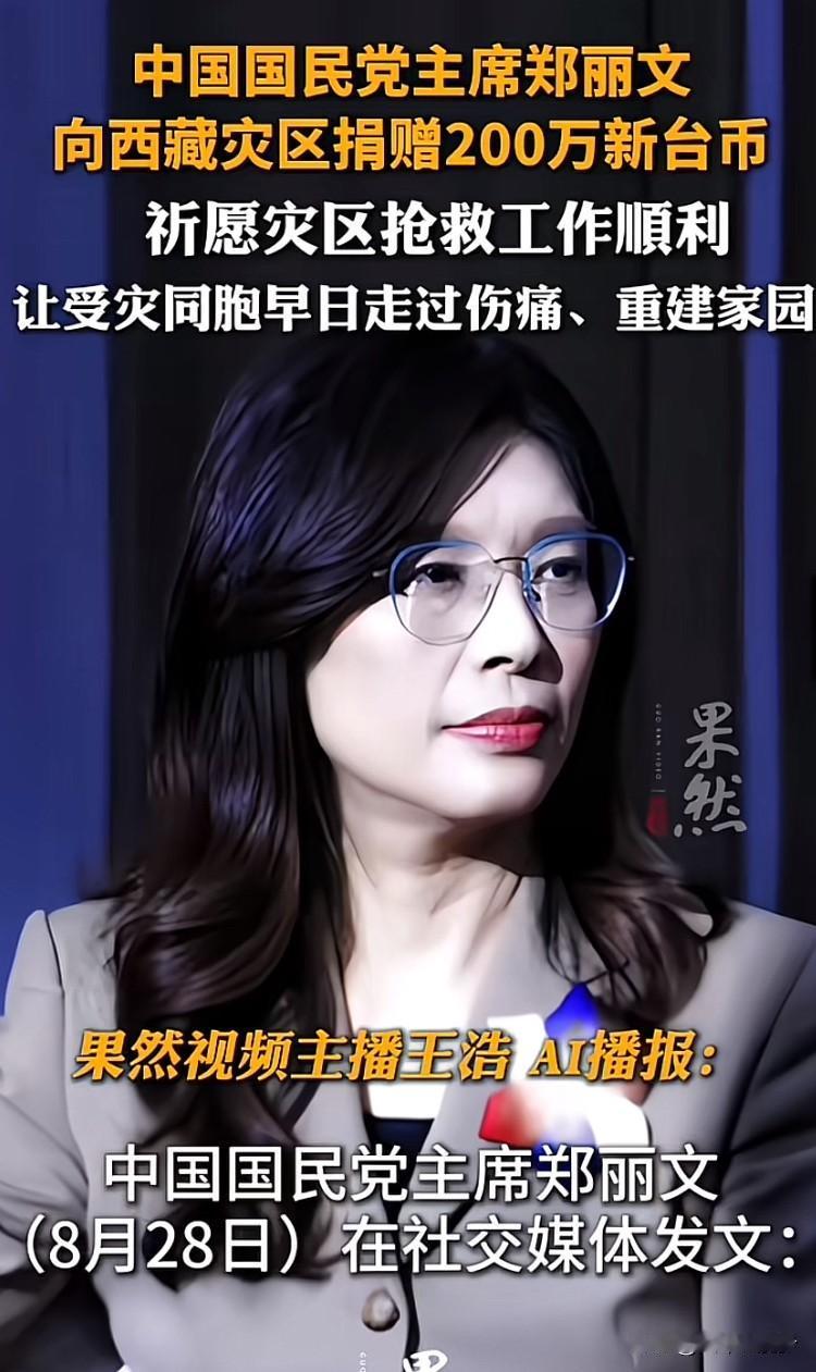 郑丽文一贯旗帜鲜明反对“台独”，坚定认同台湾人就是中国人。这份立场，也让她屡屡遭
