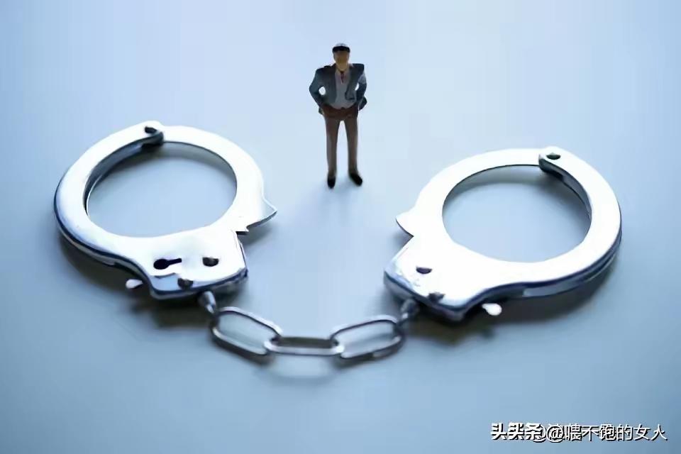 死刑！[赞]剥夺政治权利终身！没收个人全部财产！7月6日，杨有林被判处死刑，剥夺